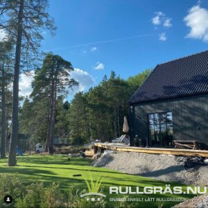 Rullgräs Stockholms Åkersberga